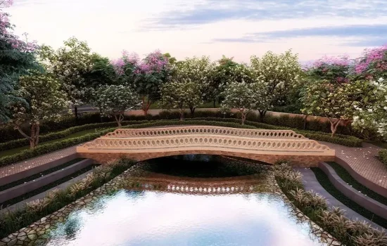Bio Pond